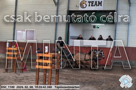 Mintakép 20260208-899