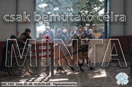 Mintakép 20260208-900