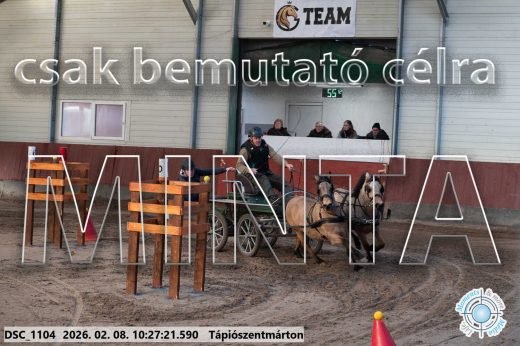Mintakép 20260208-902