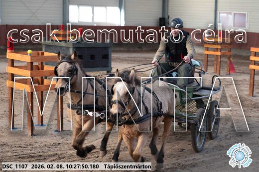 Mintakép 20260208-905