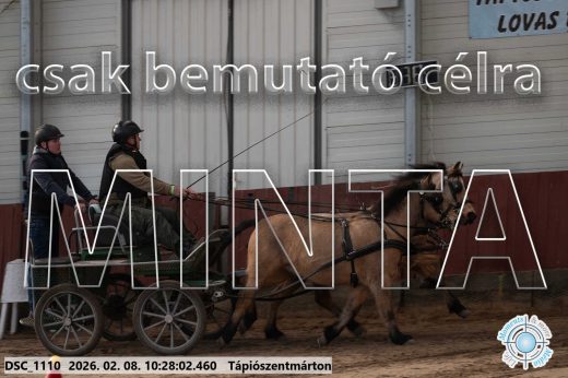 Mintakép 20260208-907