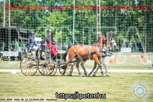 Mintakép 20260612-286