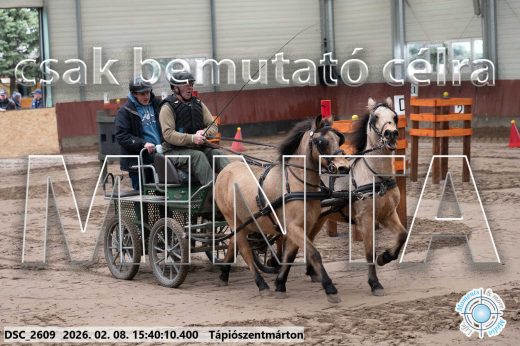 Mintakép 20260208-909