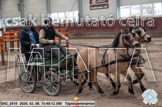 Mintakép 20260208-910