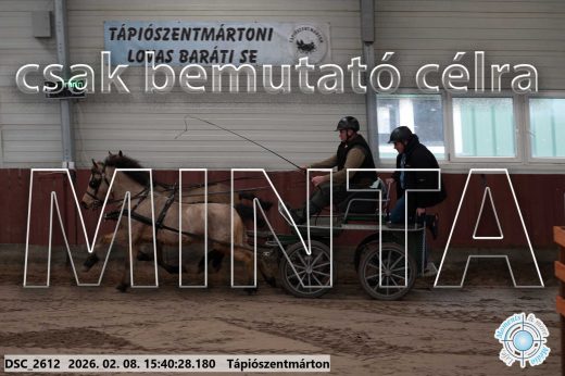 Mintakép 20260208-911