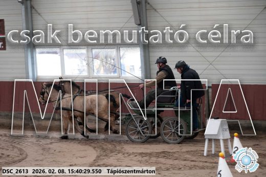 Mintakép 20260208-912