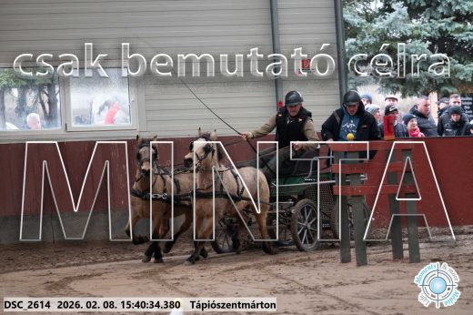 Mintakép 20260208-913