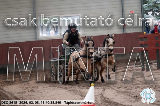 Mintakép 20260208-914