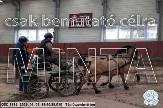 Mintakép 20260208-915