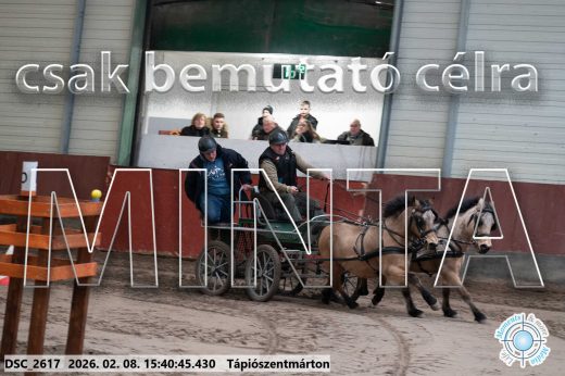 Mintakép 20260208-916