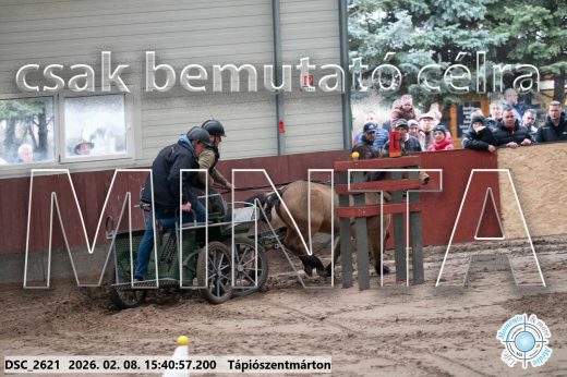 Mintakép 20260208-919