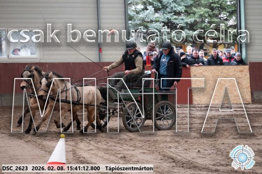 Mintakép 20260208-921
