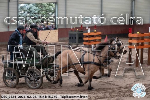 Mintakép 20260208-922