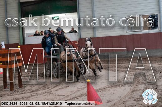 Mintakép 20260208-924