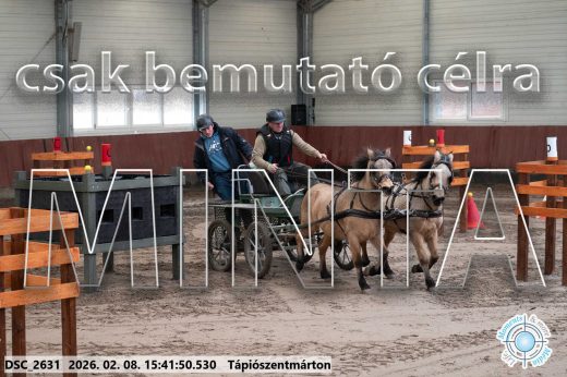 Mintakép 20260208-927