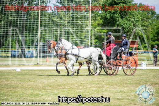 Mintakép 20260612-288