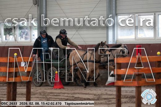 Mintakép 20260208-928