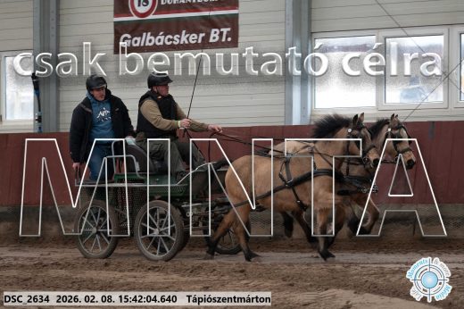 Mintakép 20260208-929