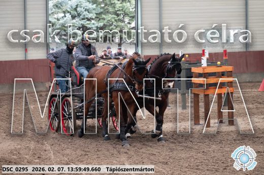 20260207-135949-DSC_0295.jpg