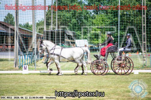 Mintakép 20260612-289