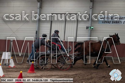 Mintakép 20260207-549