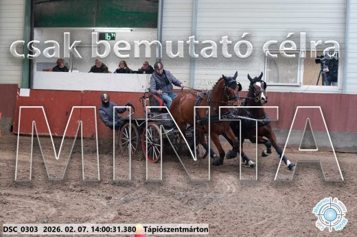 Mintakép 20260207-551
