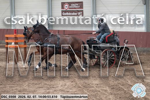 Mintakép 20260207-556