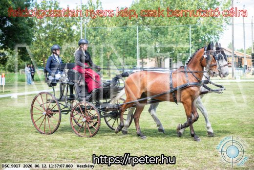 Mintakép 20260612-291