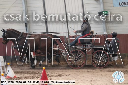 Mintakép 20260208-933