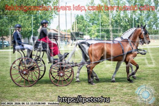 Mintakép 20260612-292