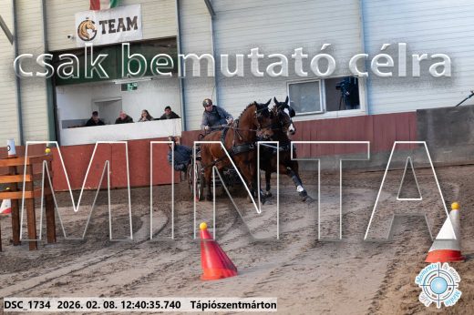 Mintakép 20260208-939