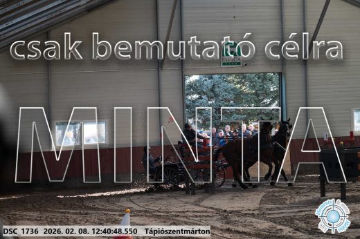 Mintakép 20260208-940