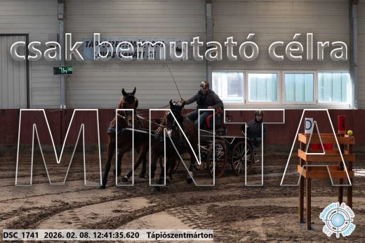 Mintakép 20260208-945