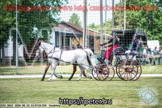 Mintakép 20260612-293