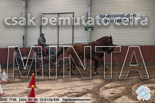 Mintakép 20260208-950