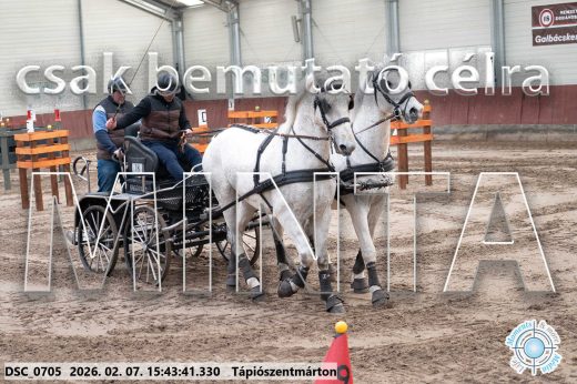 20260207-154341-DSC_0705.jpg