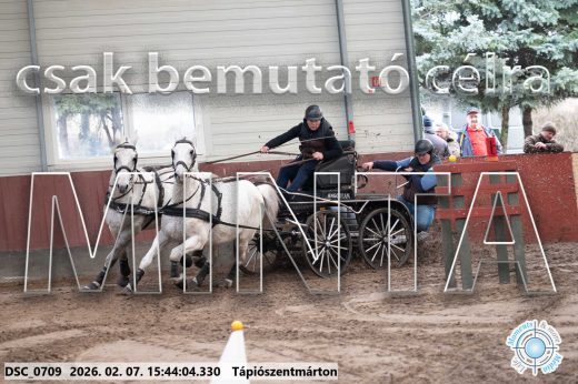 Mintakép 20260207-576