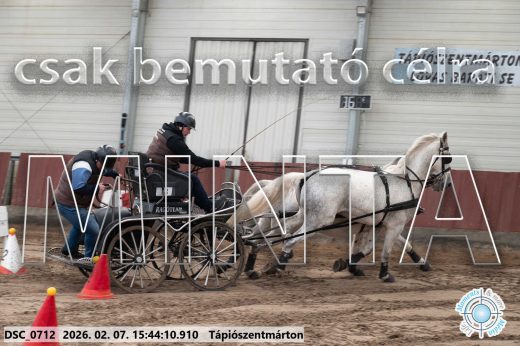 Mintakép 20260207-578