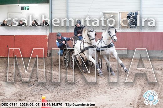 Mintakép 20260207-580