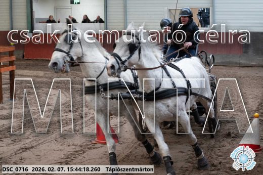 Mintakép 20260207-581