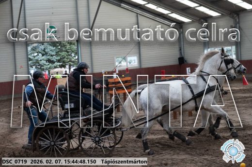Mintakép 20260207-583