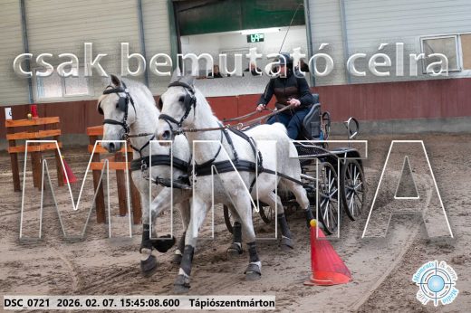 Mintakép 20260207-585