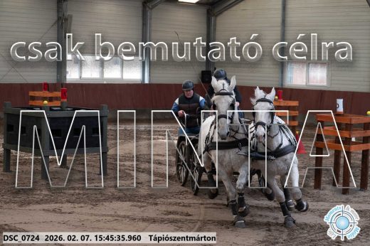 Mintakép 20260207-587