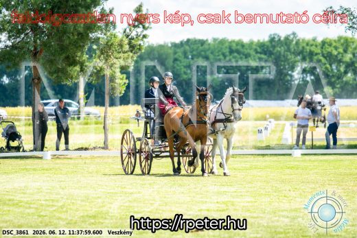 Mintakép 20260612-295
