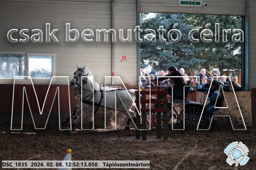 Mintakép 20260208-955