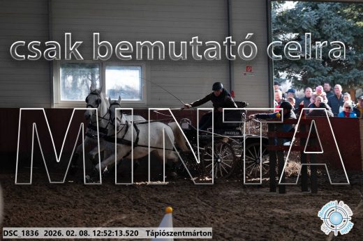 Mintakép 20260208-956