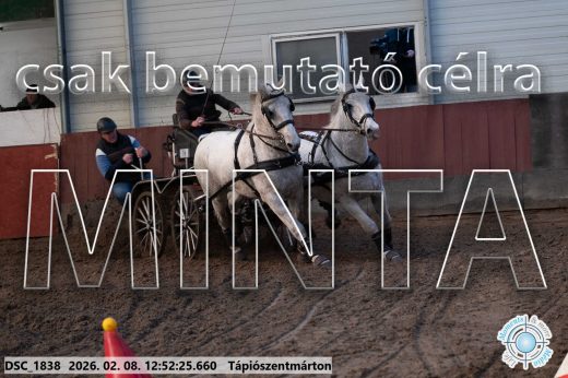 Mintakép 20260208-958