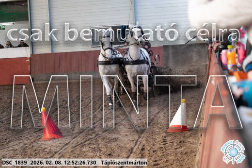 Mintakép 20260208-959