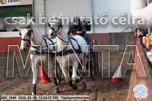 Mintakép 20260208-960