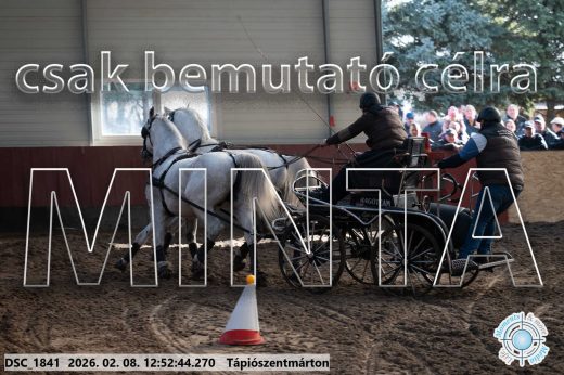 Mintakép 20260208-961